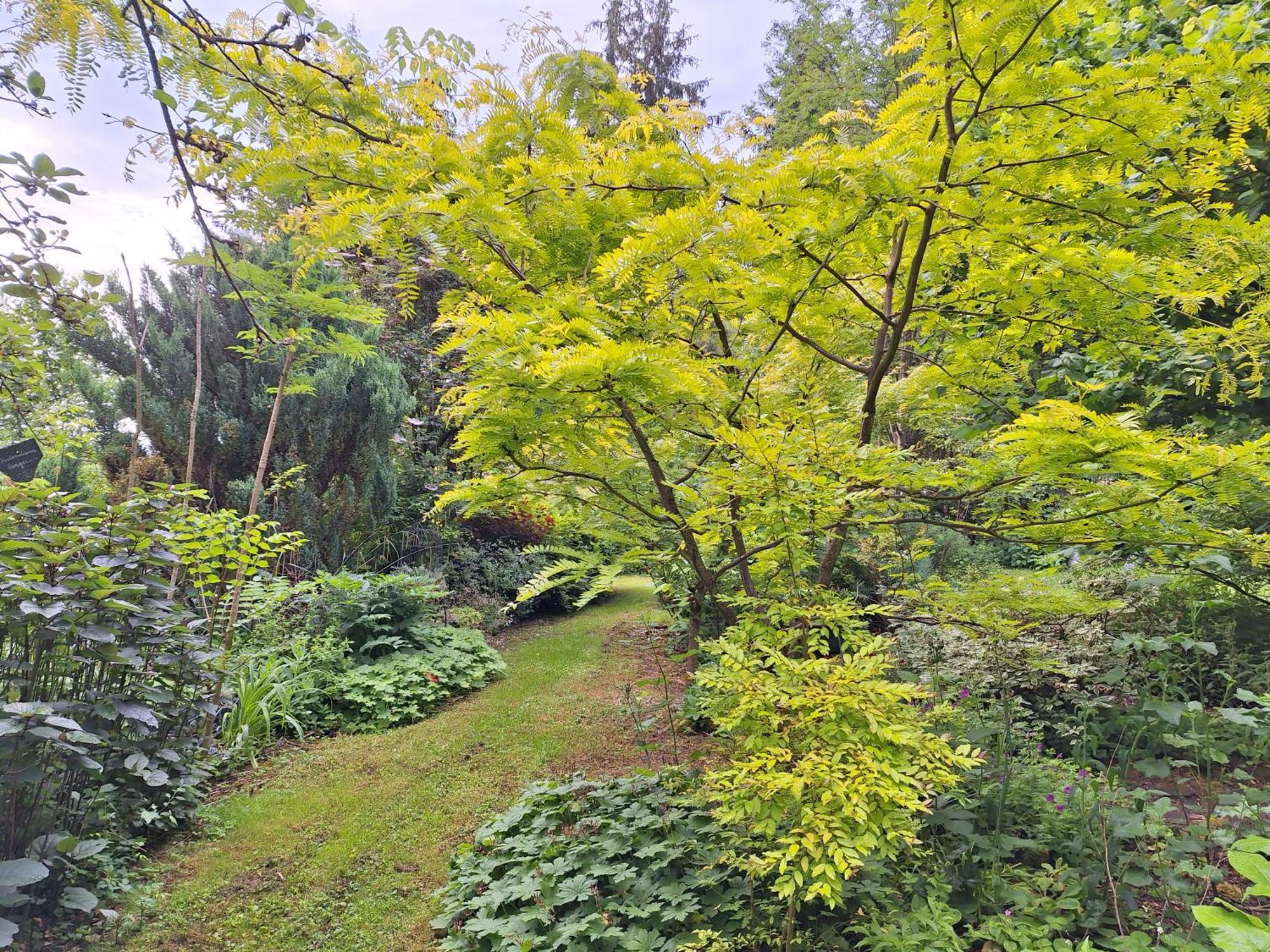 La Haie A Cerf Watronville Rum bild